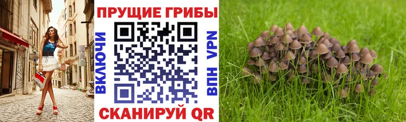 Галлюциногенные грибы мухоморы  цены наркотик  omg как войти  Норильск 